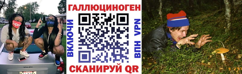 купить  цена  Сосногорск  OMG как зайти  Псилоцибиновые грибы GOLDEN TEACHER 